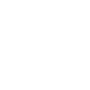 Volkswagen_LOGO_CHI-01